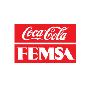 FEMSA-300x300